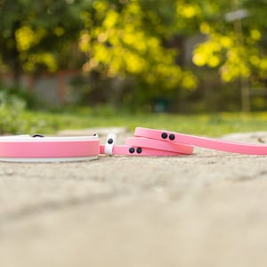 Custom BioThane® French Martingale | 1.5" collar with 5/8" leash | Water-Proof + Durable