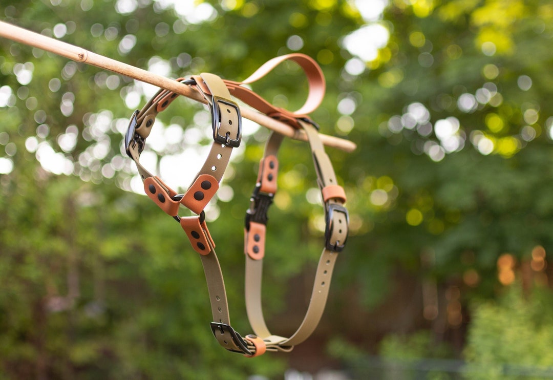 Custom 1 Biothane® Harness Waterproof Durable Etsy