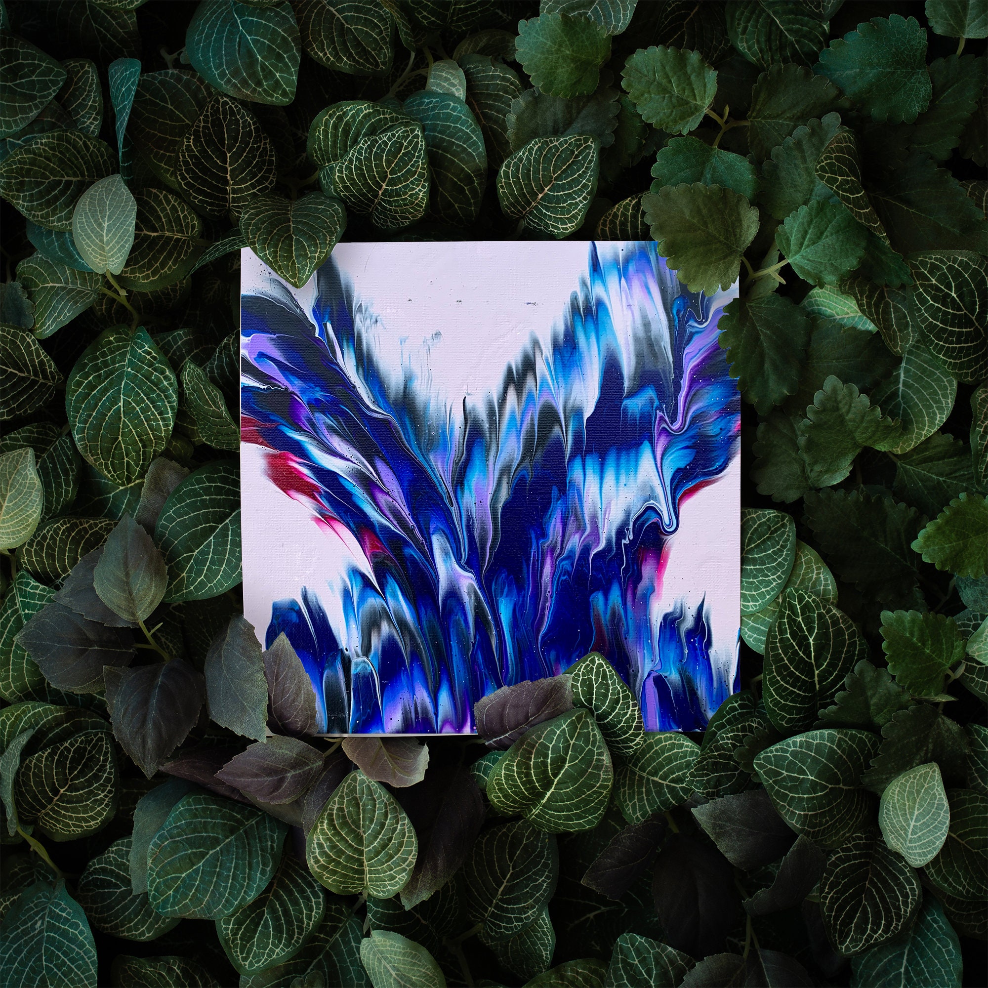 BlueJay