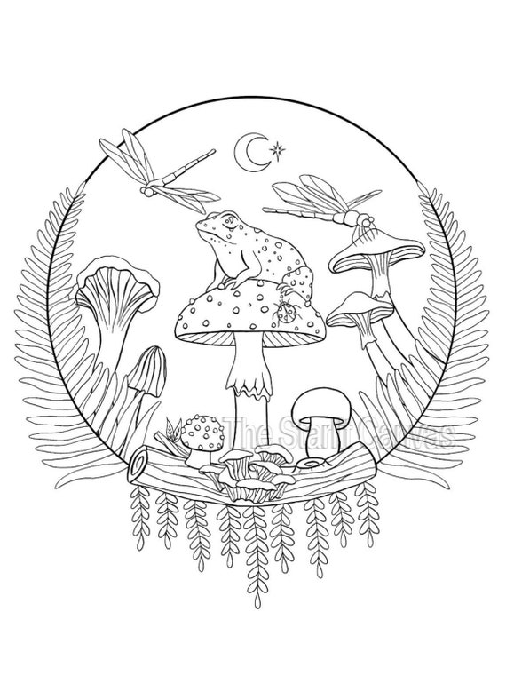 Mushrooms & bugs large coloring sheets - Pearl Paint