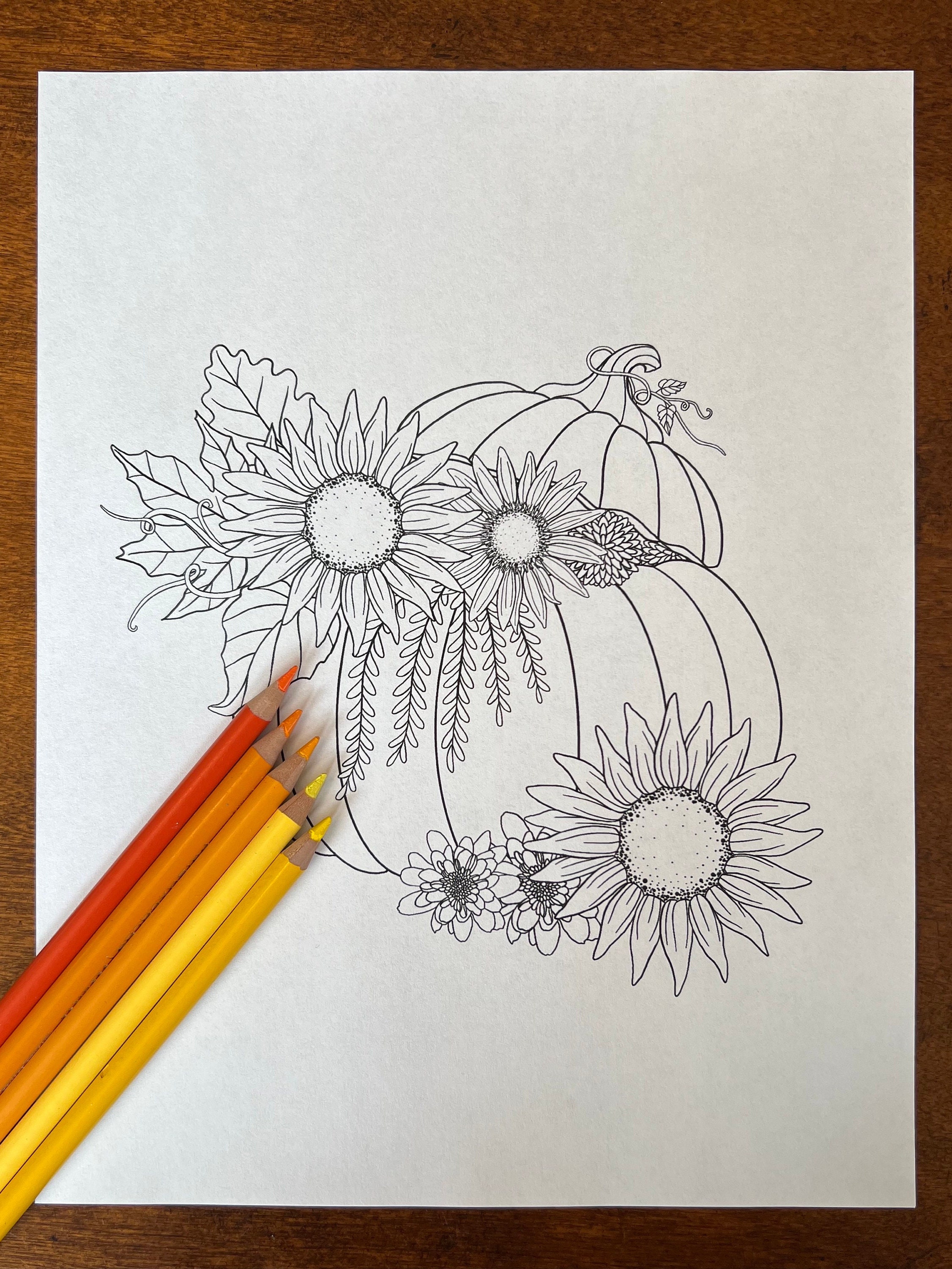 Pumpkin Sunflowers Coloring Page PDF - Etsy