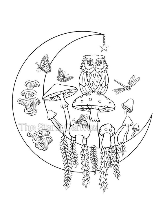 Owl in the Moon Coloring Page PDF Etsy