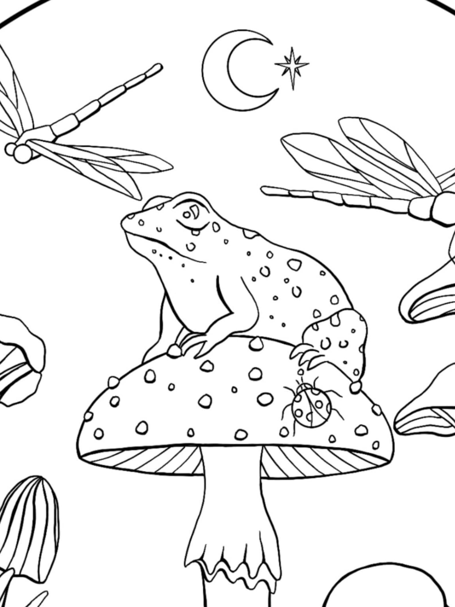 buy-frog-chillin-on-mushroom-coloring-page-pdf-online-in-india-etsy