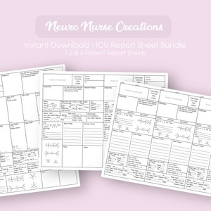 ICU Report Sheet Bundle