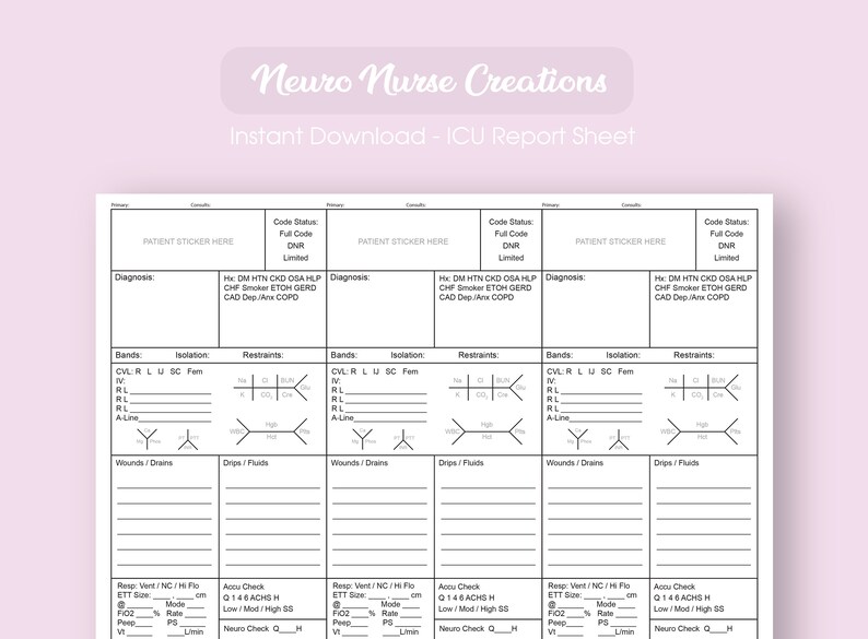 3 Patient ICU/PCU Report Sheet / ICU Brain - Etsy