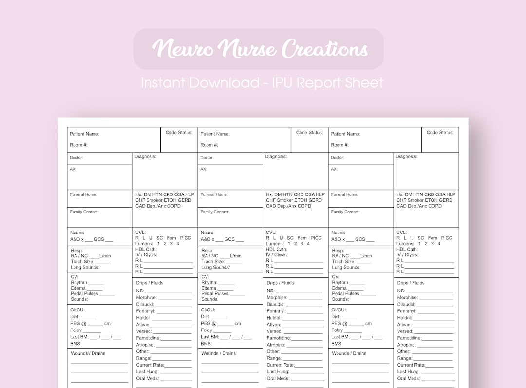 Hospice Inpatient Unit Report Sheet Etsy
