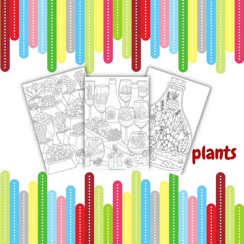 May include: Three black and white coloring pages featuring different arrangements of succulents in containers. The title of the coloring pages is "plants".