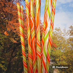 May include: A group of tall, colorful glass sculptures with swirling patterns of orange, green, and white. The sculptures are arranged in a row and are set against a backdrop of fall foliage.
