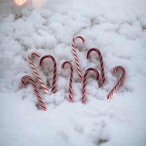May include: Red and white candy canes arranged in a fan shape on a white snowy surface.