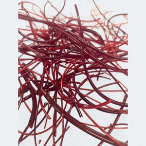 May include: Abstract composition of intertwined, translucent red and burgundy rods. The rods are of varying thicknesses and lengths, creating a dense, tangled arrangement against a white background. The glossy surfaces reflect light, enhancing the depth and complexity of the artwork.