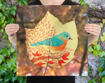 Blissful Bluebird