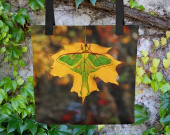 Luna Moth Tote