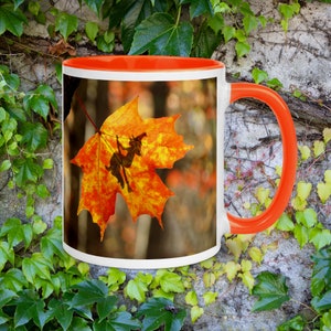 Autumn Witch Mug (Orange)