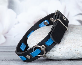 Stunning color combination: Handmade leather collar for your dog - Elegant collar azure blue. Luxury dog collar. Designer collar