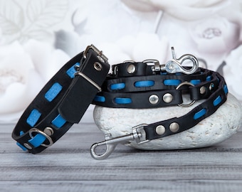 Handmade Leather Dog Leash & Collar: Sturdy and Stylish. Handmade leather collar dog leash. Leather leash dog collar. Azure