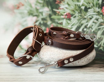 Brown leather dog leash and collar set: elegance & quality for your dog - leather collar and leash set, leather leash and collar