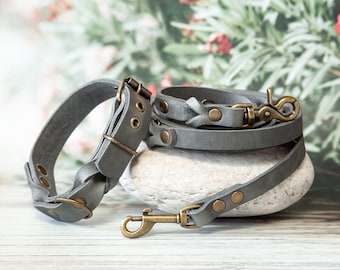 HANDMADE SET: Gray Leather Dog Leash & Collar for Stylish Dogs - Leash and Leather Collar, Leather Training Leash and Dog Collar