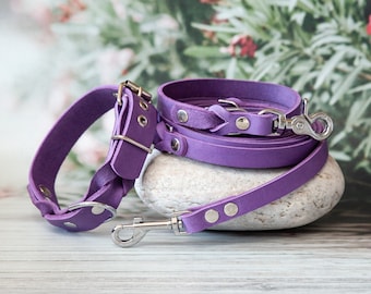 Purple set of leather leash and dog collar for your furry friend - noble collar leash set, dog leash and leather collar, handmade leather