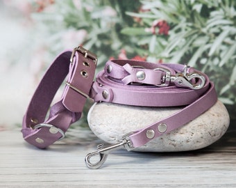 Stylish pink collar and leash set for furry friends - dog collar and leather leash made of leather, handmade leather collar and dog leash