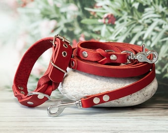 Stylish on the go: red dog leash & collar for your dog - handmade leash and dog collar made of leather, leather collar and leash