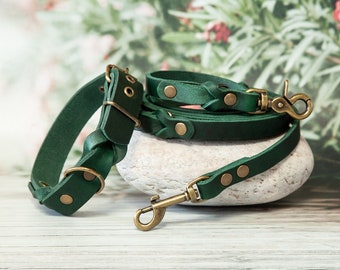 Noble green dog leash & collar set made of leather: Your dog as a trendsetter - leash and leather collar, training leash and dog collar