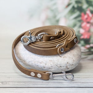 Small Dog Leash - Rustic Dog Leash, Dad Dog Gift, Durable Dog Leash, Dog Lead Leather, Cute Dog Leash, Dog Lover Gift Idea, Dog Harness Lead