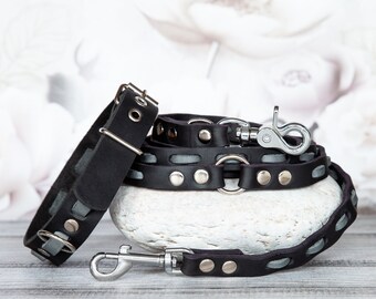 Exclusive design: dog leash & collar made of leather in gray-black. Luxury leather collar dog leash. Handmade dog collar leash