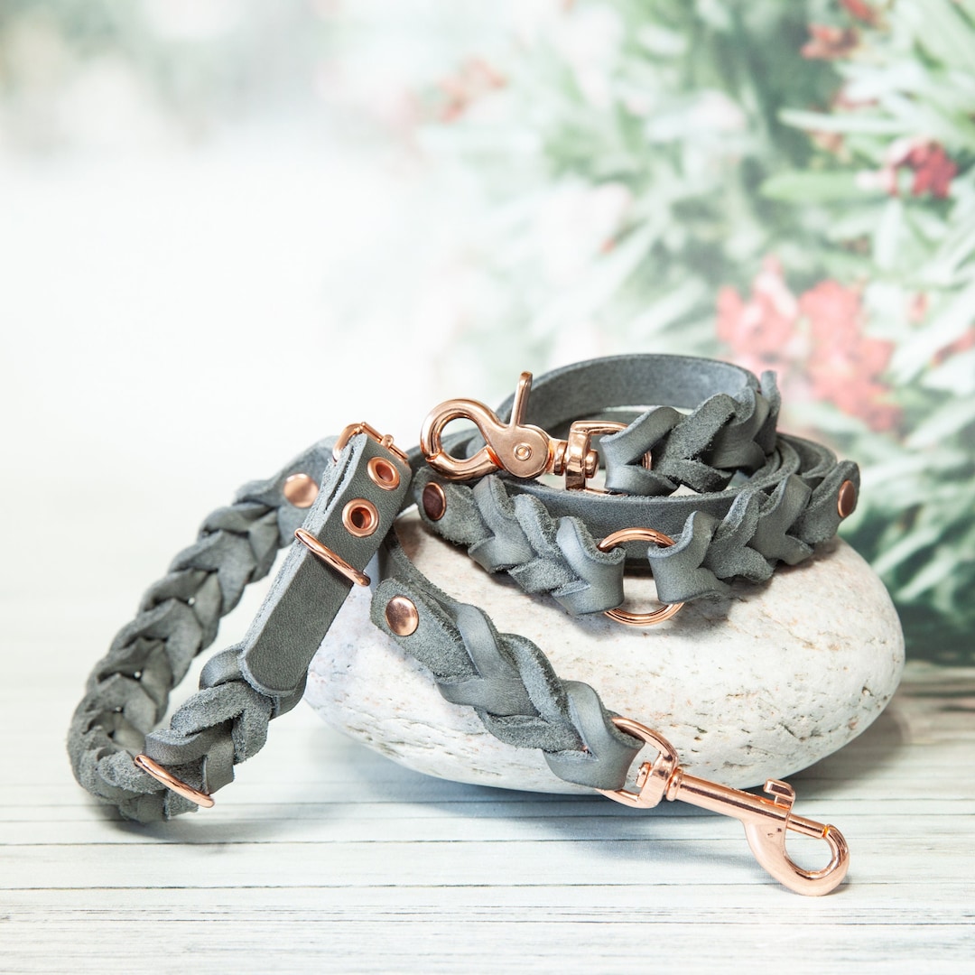 Staffordshire Bull Terrier In Limerick - IKC Registered - Dogs For Sale - Foto 4