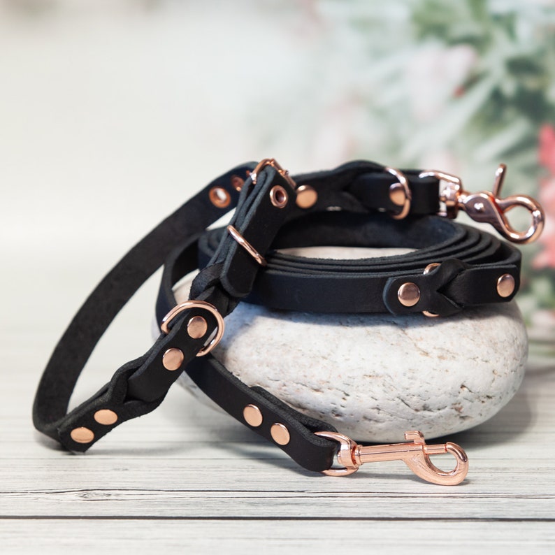Black Leather Leash Collar Set Small Dog Accessory, Dog Set, New Dog Owner Gift, Matching Collars, Pet Sitter Gift, Dog Mom Gift Set image 3