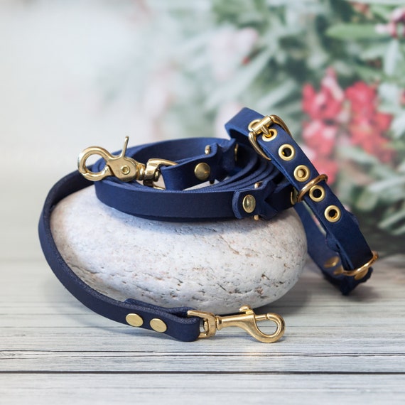 Blue Leash and Collar Leather Dog Gear Show Dog Collar and Leash