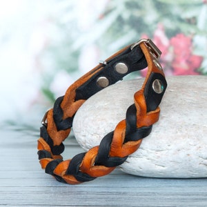 Dog collar in cognac brown and black. Handmade leather collar. Handmade dog collar. An eye-catcher for your furry friends.