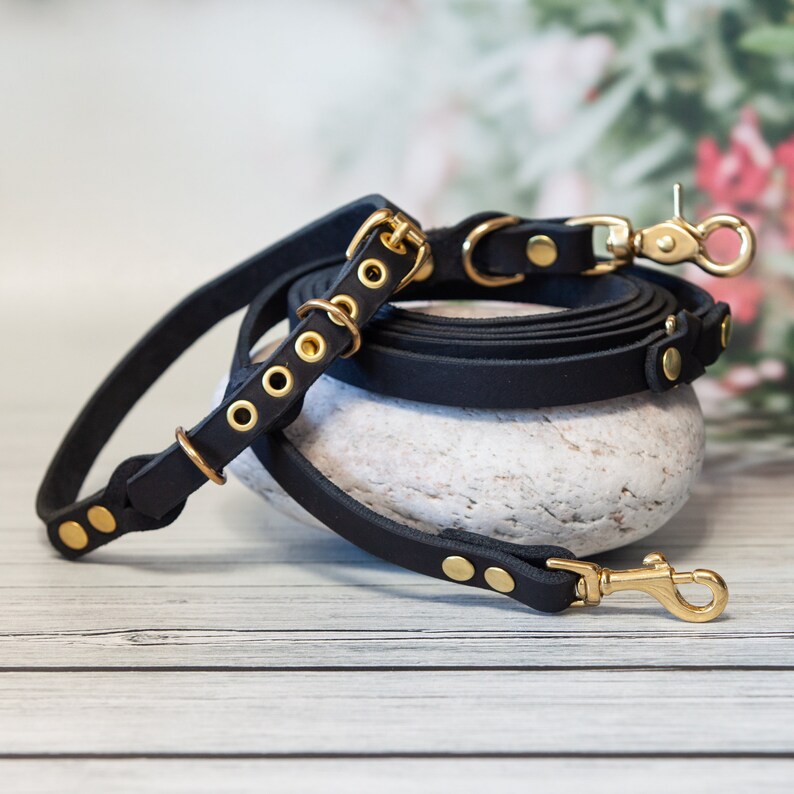 Black Leather Leash Collar Set Small Dog Accessory, Dog Set, New Dog Owner Gift, Matching Collars, Pet Sitter Gift, Dog Mom Gift Set image 1