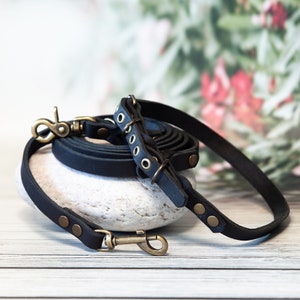 Black Leather Leash Collar Set Small Dog Accessory, Dog Set, New Dog Owner Gift, Matching Collars, Pet Sitter Gift, Dog Mom Gift Set image 2