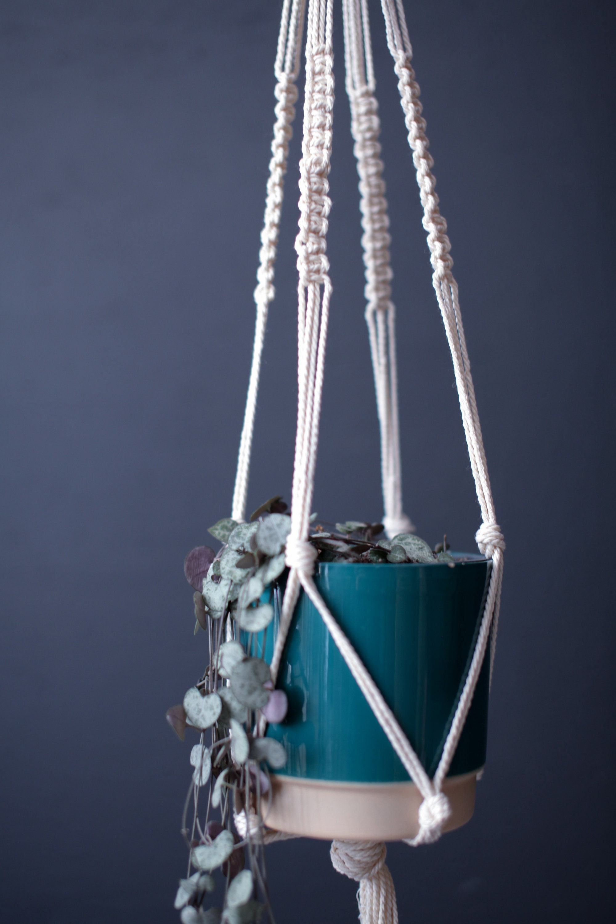 Suspension Pour Plantes en Macramé Ecofriendly- - Coton 100% Recyclé Oeko Tex-Blanc Cassé