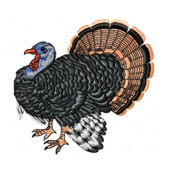 Turkey - Machine Embroidery Design - Thanksgiving Embroidery Designs - Gobbler Embroidery Files - 4 sizes- Instant Download