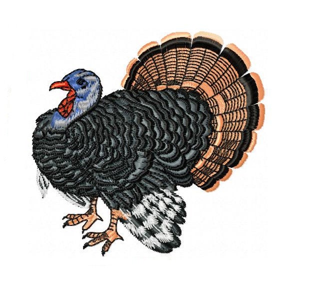 Turkey - Machine Embroidery Design - Thanksgiving Embroidery Designs - Gobbler Embroidery Files - 4 sizes- Instant Download