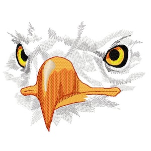 Op de afbeelding: Close-up van het gezicht van een Amerikaanse zeearend met scherpe, doordringende gele ogen en een prominente oranje snavel. De veren van de adelaar zijn wit en grijs, wat een gedetailleerde en realistische weergave creëert.