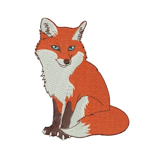 Puede incluir: Un zorro rojo con el pecho blanco y una cola tupida se sienta con las patas metidas debajo del cuerpo. El zorro tiene ojos azules y la nariz marrón.