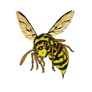 May include: Embroidered image of a wasp with yellow and black stripes. The wasp has detailed wings and legs, with a brown and yellow color scheme. The insect is depicted against a white background.