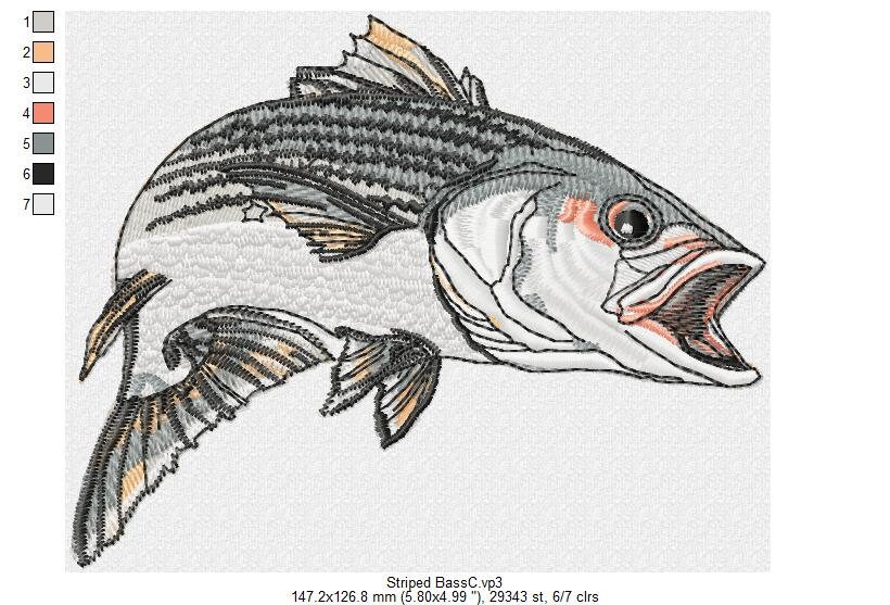 Striped Bass- Machine Embroidery Design, Embroidery Designs, Machine ...