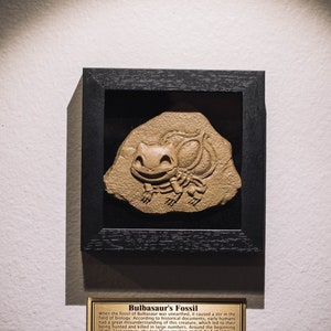 Pokémon, Pikachu Fossil, Psyduck, Bulbasaur, Charmander, Squirtle, Wall ...