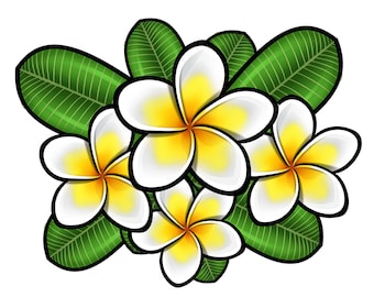 Plumeria Flower Sticker para coche, ordenador portátil, botella de agua...
