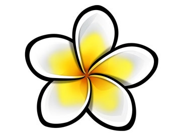 Plumeria Flower Sticker para coche, ordenador portátil, botella de agua...