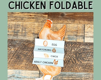 Foldable Life Cycle of a Chicken