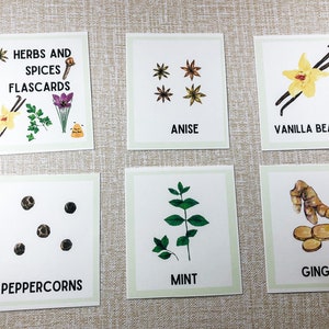 Herbs and Spices Flash Cards Printable • Preschool Printable • Crunchy ...