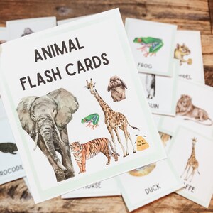 Animal Flash Cards   • Montessori printable   • Educational Material  •