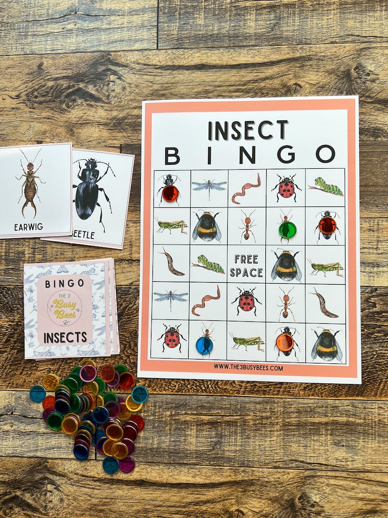 insect-bingo-printable-insect-learning-mini-beasts-etsy