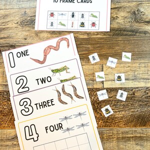 Carte con 10 cornici per insetti • Apprendimento degli insetti • Mini bestie stampabili • 10 cornici • Attività raccoglitore occupato