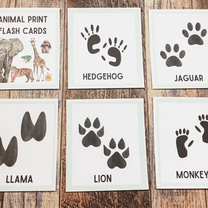 Animal Print  Flash Cards   • Montessori printable   • Educational Material  • Animal Tracks Learning •  Animal Foot Prints •
