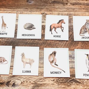 Animal Flash Cards • Montessori Printable • Educational Material • - Etsy